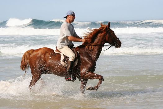 Beautiful horse with rider in the shallow water at the beach