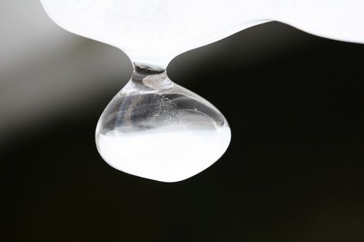 Close view of a wonderful round icicle on a dark background