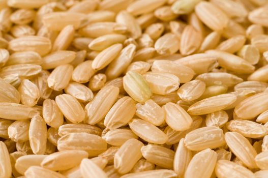 close-up of brown rice, isometric view