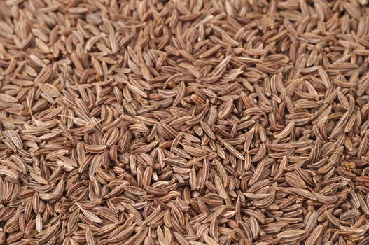 close-up of caraway seeds