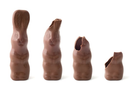 isolated chocolate bunnies