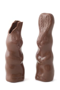 isolated chocolate bunnies