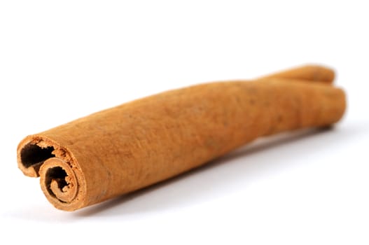 close-up of isolated cinnamon