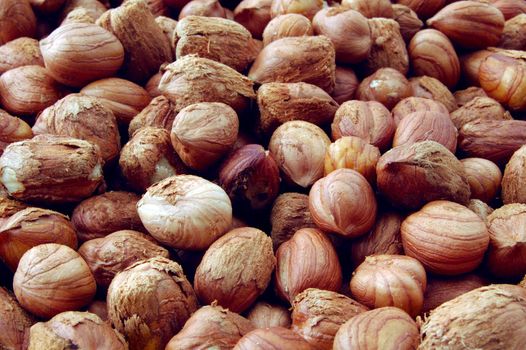 close-up of hazelnuts
