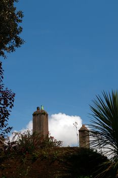 old irish chimney pots over the trees in cork ireland