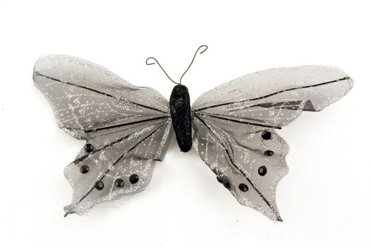 black butterfly