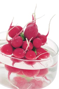 Nice, fresh, red radishes in water glass bowl