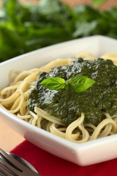 Fresh homemade pesto made of basil, garlic and olive oil served on spaghetti and garnished with a basil leaf (Selective Focus, Focus on the basil leaf on the pesto)