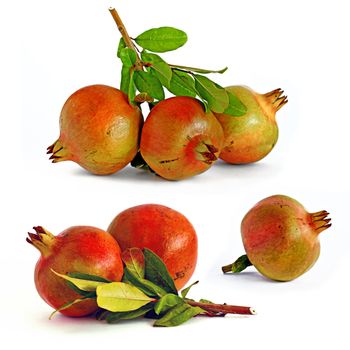 Three picture of pomegranat