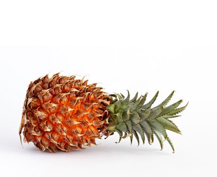 One picture of pineapple