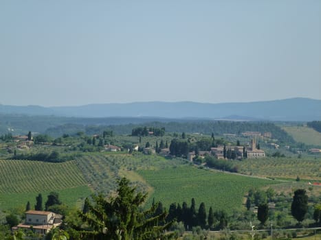 view of the frech countryside - rows of vinyard