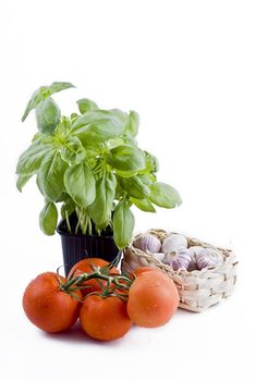 Isolated fresh vegetables - basil in pot, bunch of tomatoes and garlic basket