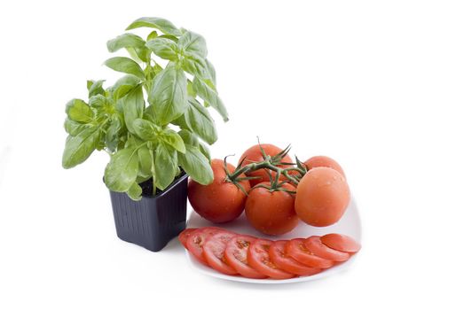 Fresh pot of the basil and plate with bunch of tomatos and sliced tomatos