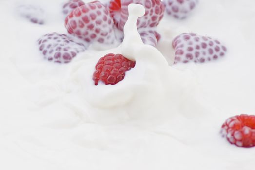 Fresh raspberry dropped into the milk - close up