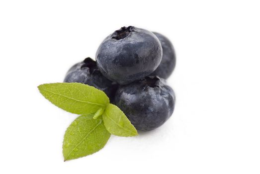Fresh blueberries with green leaves on the white bacground
