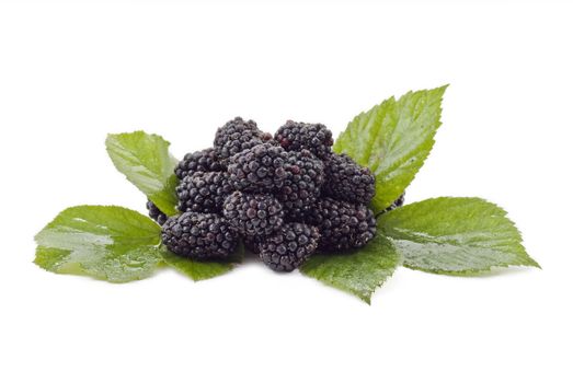 Fresh blackberries with green leaves on the white bacground
