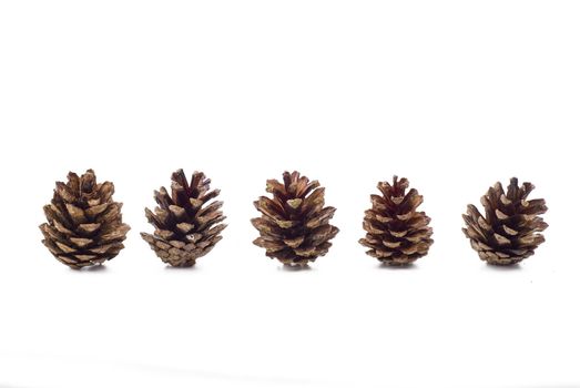 Several pine cones on the white background - isolated 