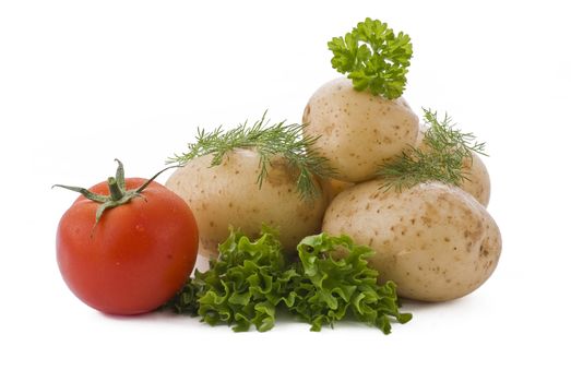 Potatoes, tomato, salad and herbs on white background