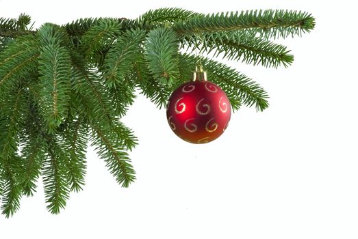 Red Christmas ball on green spruce branch - isolated