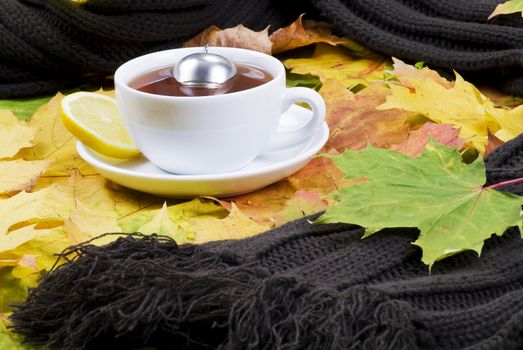 Hot tea on autumn leaves with scarf