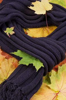 Dark - brown scarf lying on autumn leaves 