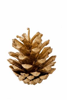 Christmas decoration of pine cone on white background