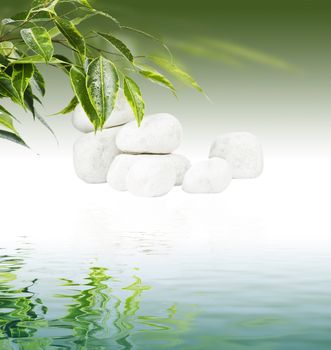 Ficus leaves and white stones in water reflection