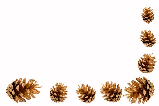 Gold pine cones border on pure white background