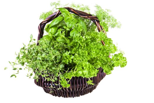 Basket of basil, thyme, dill, and parsley over white background