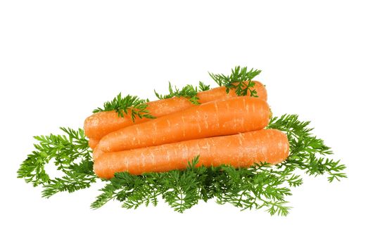 Carrots stacket up with leaves around on white background
