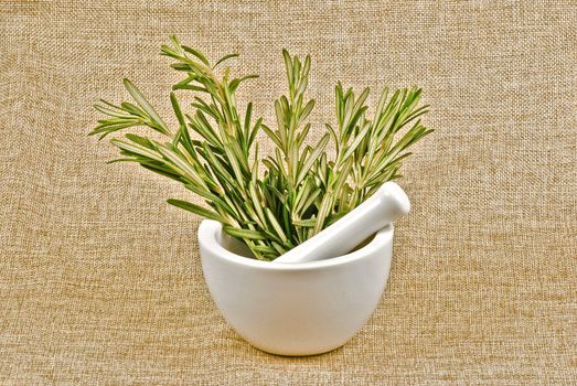 Rosemary branches in white ceramic mortar and pestle