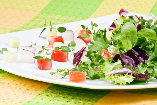 Various salad leaves with tomato, radish and cucumber