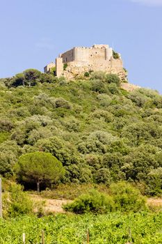Chateau-Saint-Martin with vineyard, Languedoc-Roussillon, France