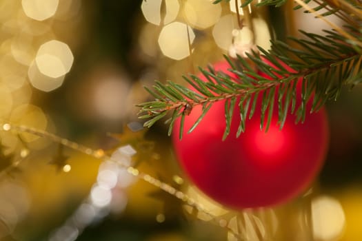 holiday series: red christmas ball and garland on the fir