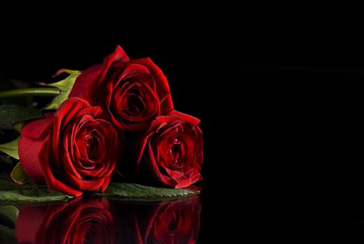 Beautiful red roses on black background with reflection
