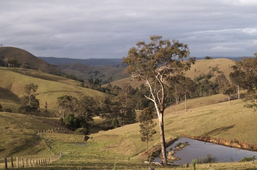 Rural Landscape of New South Wales, Australia