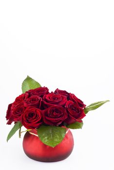 Beautiful roses in the red pot over white background