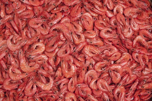 Close up of dried and salted prawns at the main market in Colombo, Sri Lanka