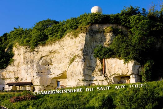 champignons cultivation near Montsoreau, Pays-de-la-Loire, France