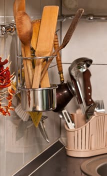 kitchen series: accessory and dry red pepper