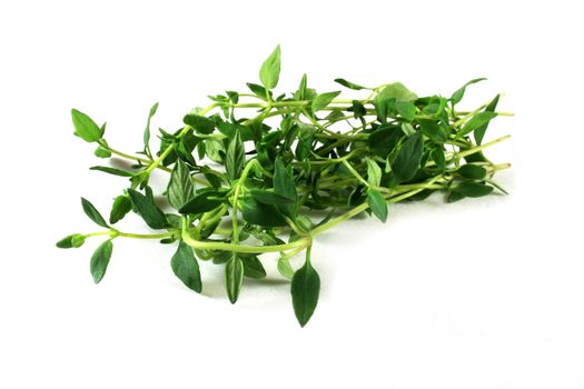 Thyme on a white background