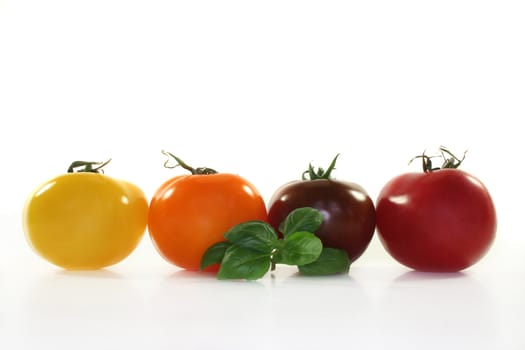 different colored tomatoes and basil on a white background
