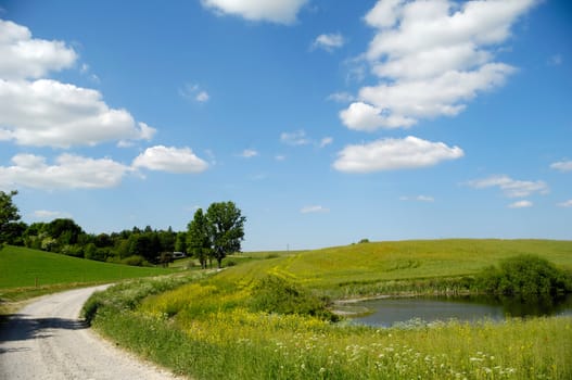 Landscape with a path and lake. The sky is blue with fluffy clouds.