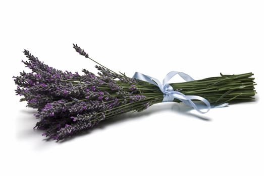 A bunch of lavender isolated on a white background.