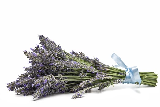 A bouquet of lavender isolated on a white background.