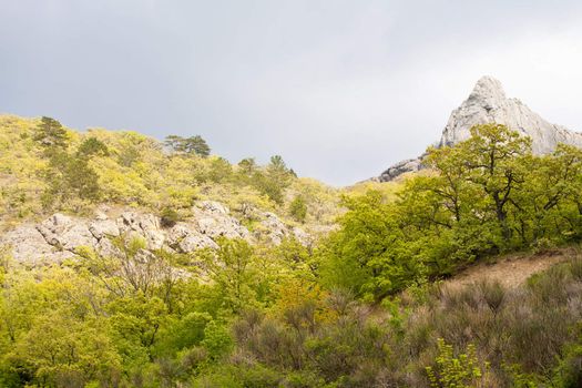 outdoor series: Crimean mountain in spring season