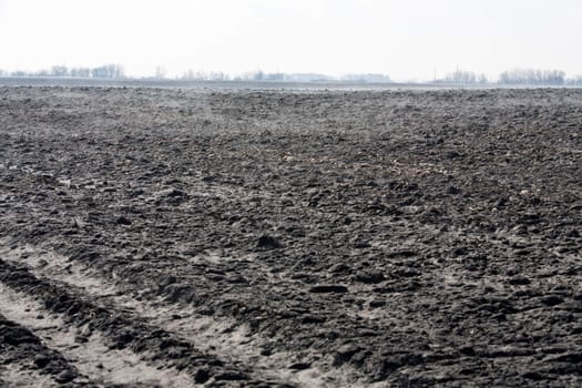 agriculture theme: fish eye view of plough land