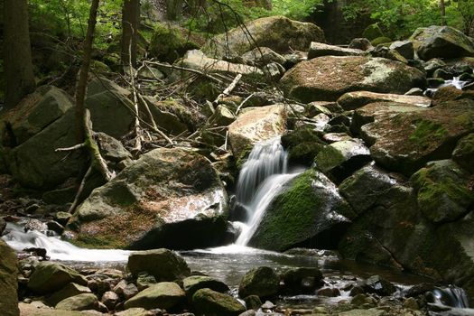 Mountain stream "Ilse" in the National Park "Upper Harz" in Saxony-Anhalt / Germany

