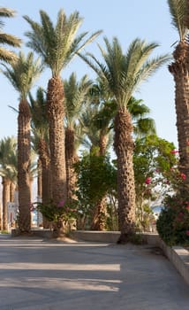 travel series: Red sea resort of Eilat, Israel
