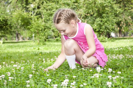 Girl picking flowers, in the summeer park